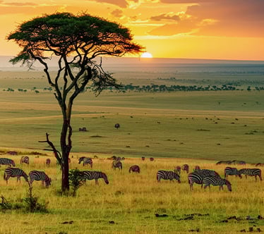 Voyage en groupe en Afrique du Sud