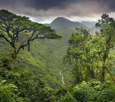 Voyage en groupe au Costa Rica