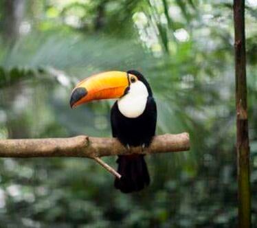 Nouvelles Destinations Groupes Costa Rica