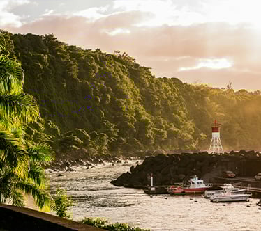 Voyage en groupe à la Réunion