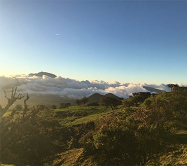 Nouvelles Destinations Groupes La Réunion