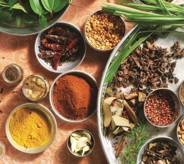 Voyage en groupe dans la baie de Tamarin