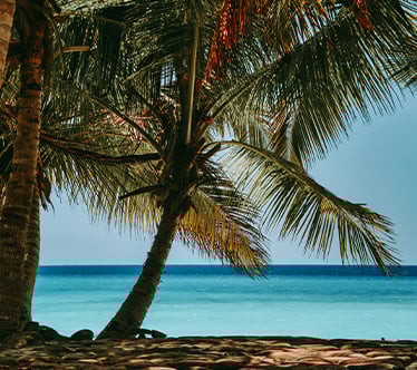 Nouvelles Destinations Groupe à Madagascar Nosy Be