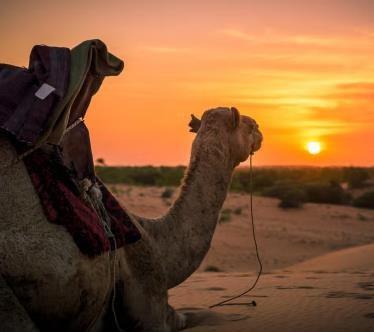 Voyage en groupe dans le désert de Lompoul