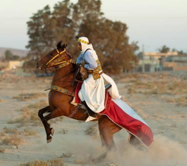 Voyage en groupe à Tunis