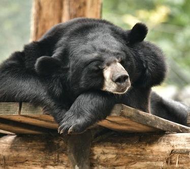 Nouvelles Destinations Groupe en Belgique